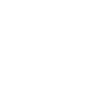 Partner-1